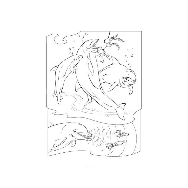 Coloriage Dauphin Amoureux - Animaux à imprimer