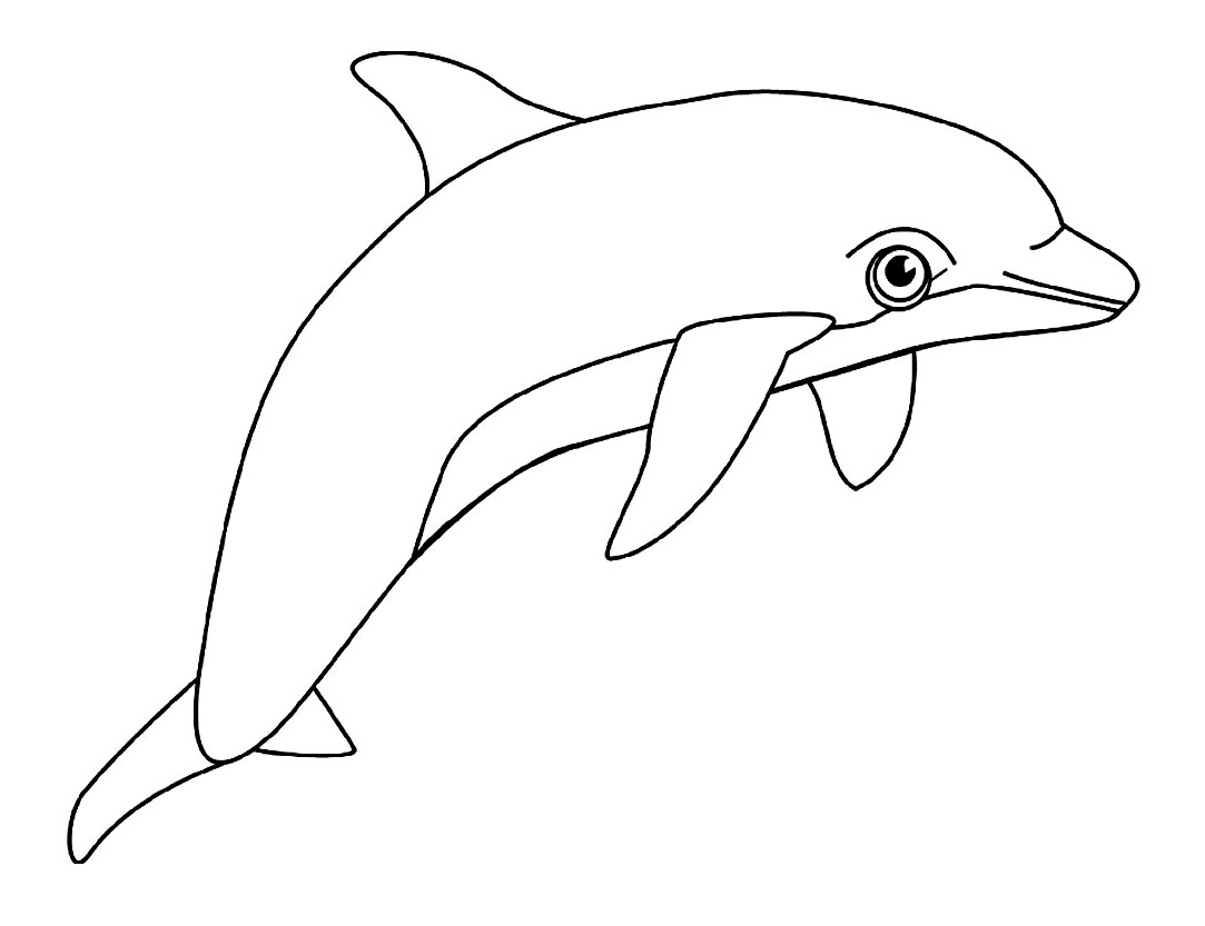Coloriage Dauphin Animal Aquatique - Animaux de la mer à imprimer