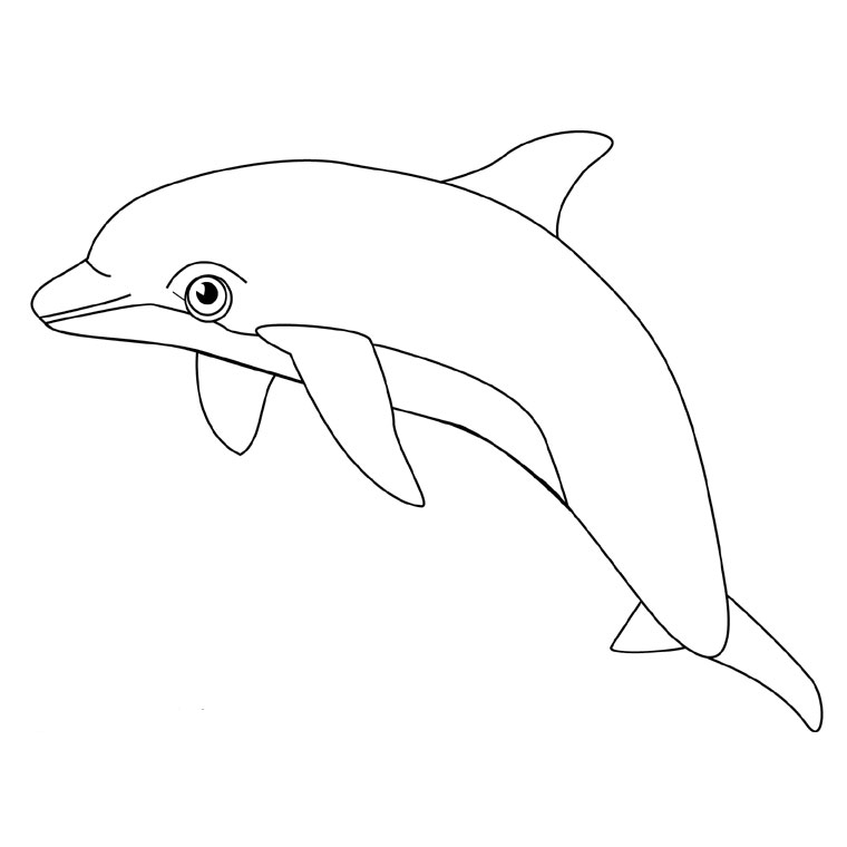 Coloriage Dauphin Commun - Animaux à imprimer