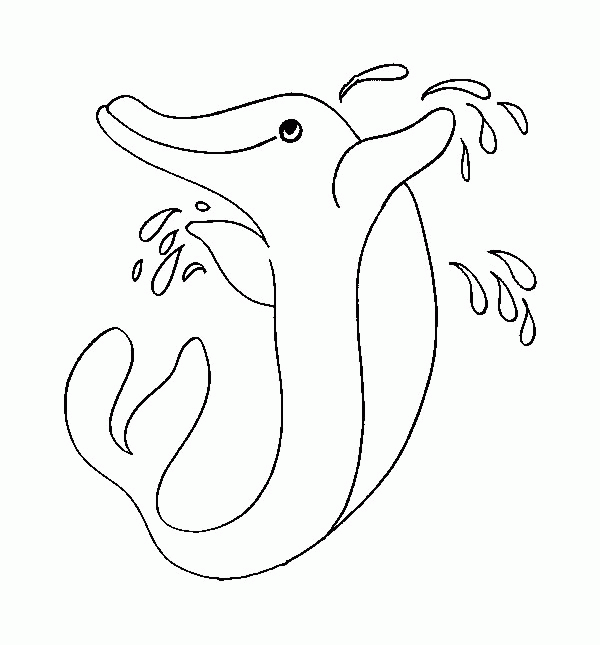 Coloriage Dauphin Et Eclaboussures - Animaux à imprimer