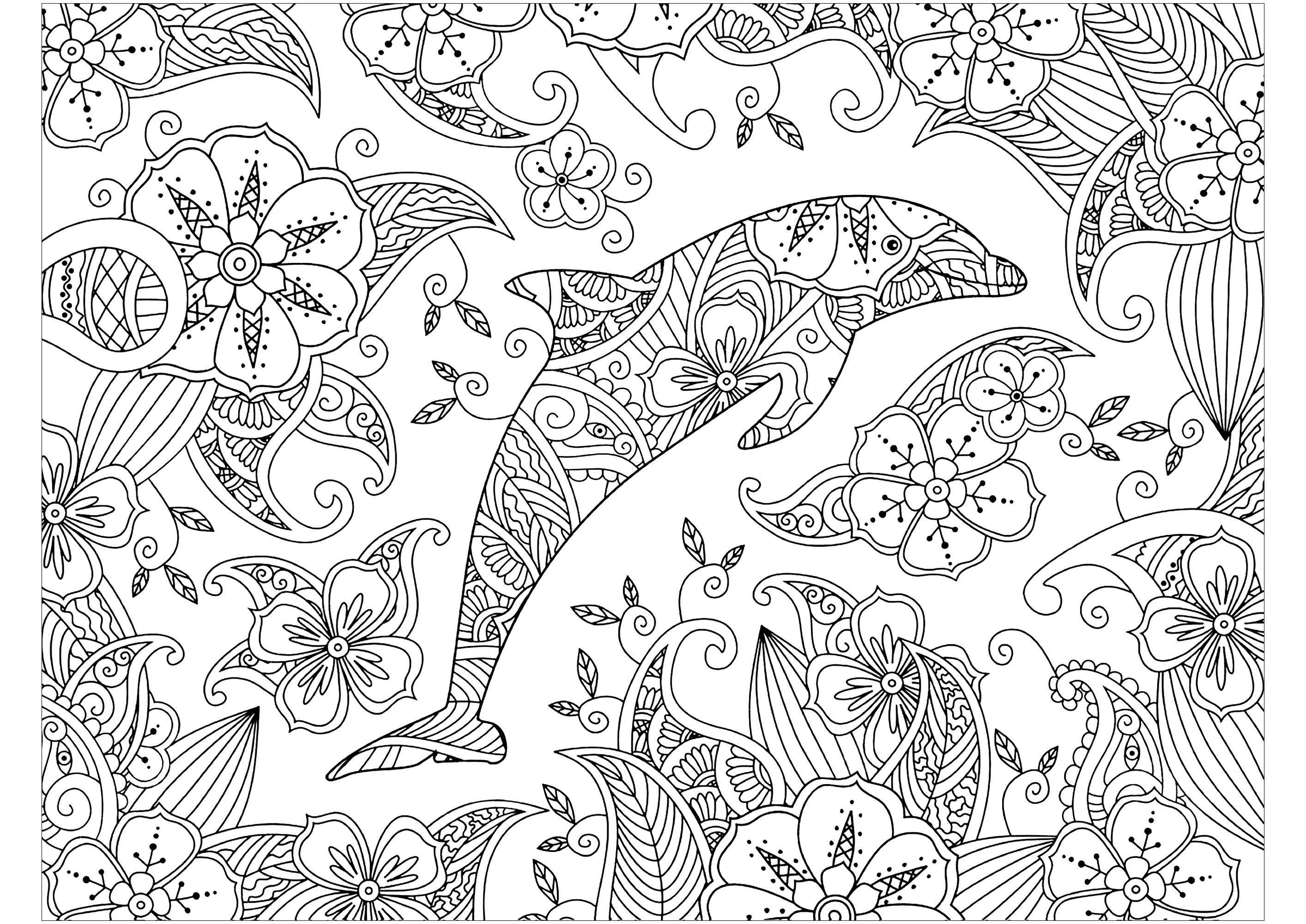 Coloriage Dauphin