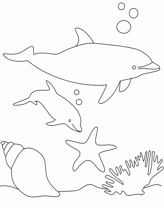 Coloriage Dauphins Et Coquillages - Animaux à imprimer