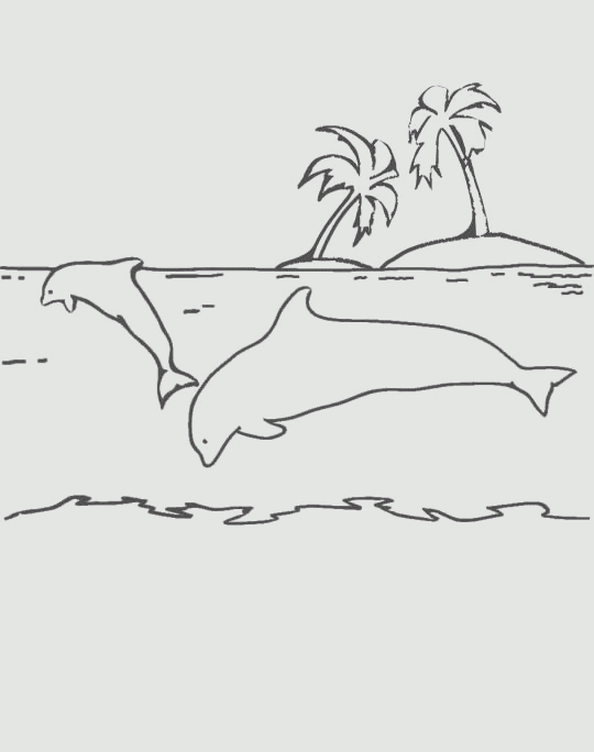 Coloriage Dauphins Et Palmiers - Animaux à imprimer