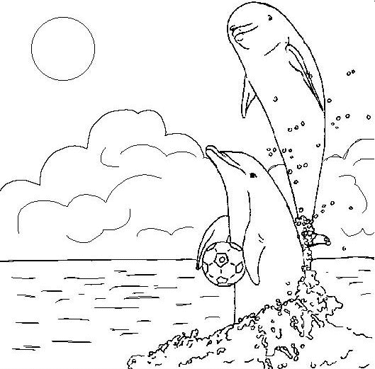 Coloriage Dauphins Et Un Ballon De Foot - Animaux à imprimer