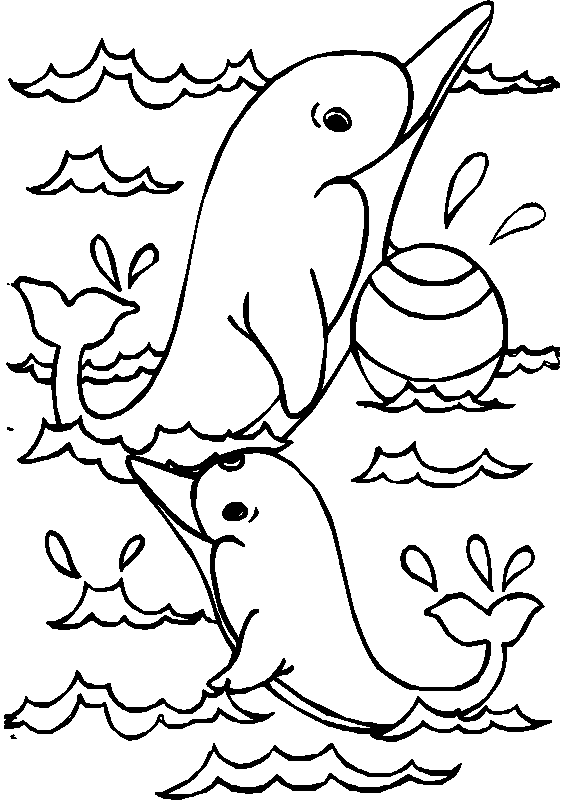 Coloriage Dauphins Et Un Ballon - Animaux à imprimer
