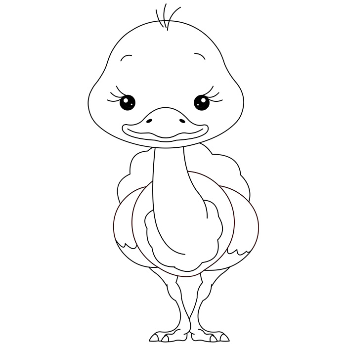 Coloriage De Bébé Autruche - Animaux à imprimer