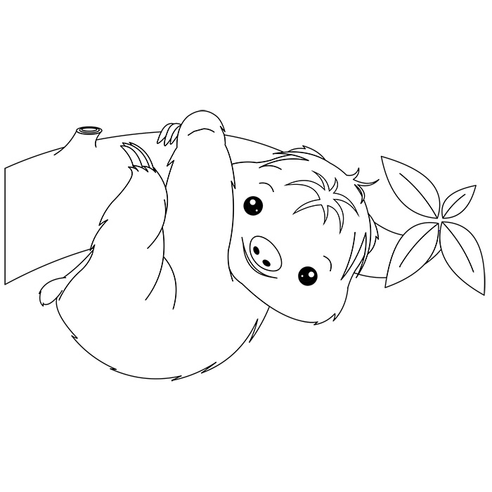 Coloriage De Bébé Paresseux - Animaux à imprimer