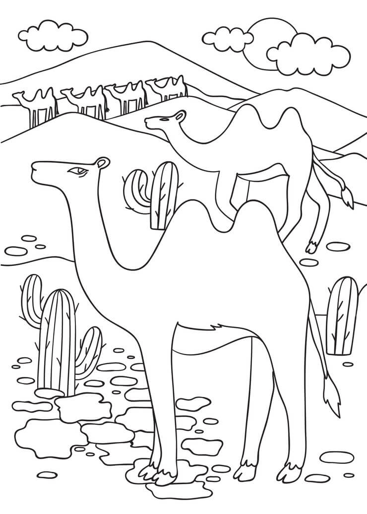Coloriage Desert Arabique Oriental Égypte Chameau - Égypte à imprimer