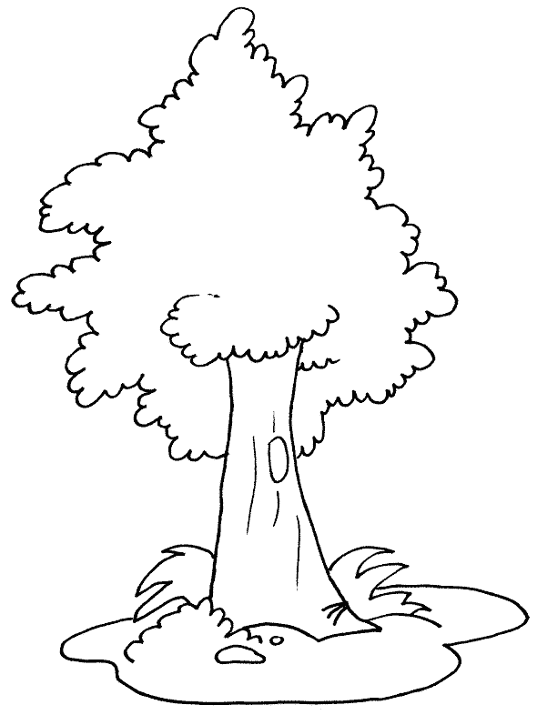 Coloriage Dessin A Colorier D'Arbre - Arbre à imprimer