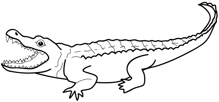 Coloriage Dessin Animaux Crocodile - Animaux à imprimer