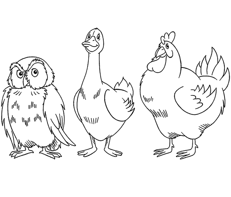 Coloriage Dessin Animaux Hibou Et Oie Et Poule - Poule à imprimer