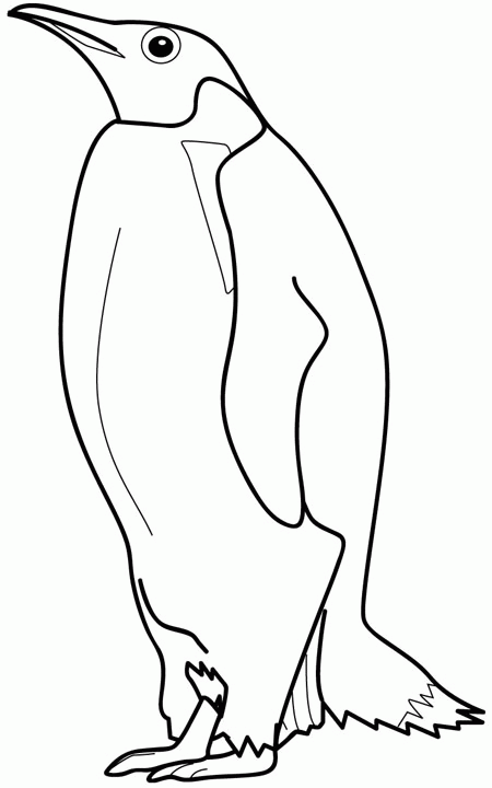 Coloriage Dessin Animaux Pingouin - Animaux à imprimer
