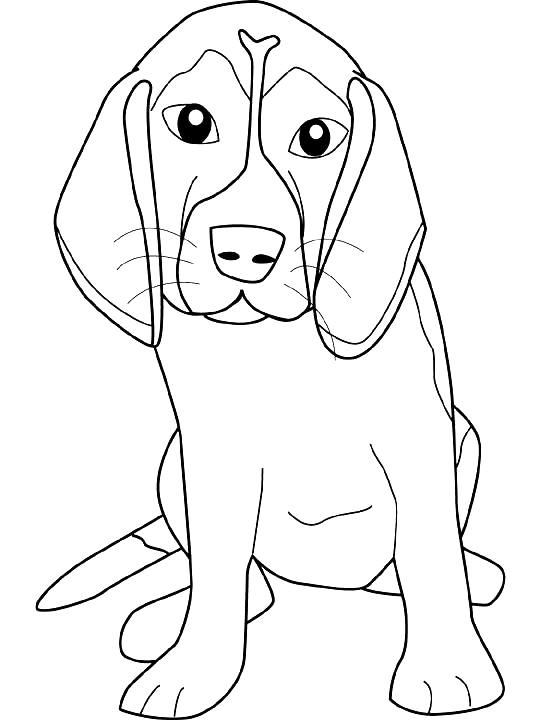 Coloriage Dessin Chien Beagle - Chien à imprimer