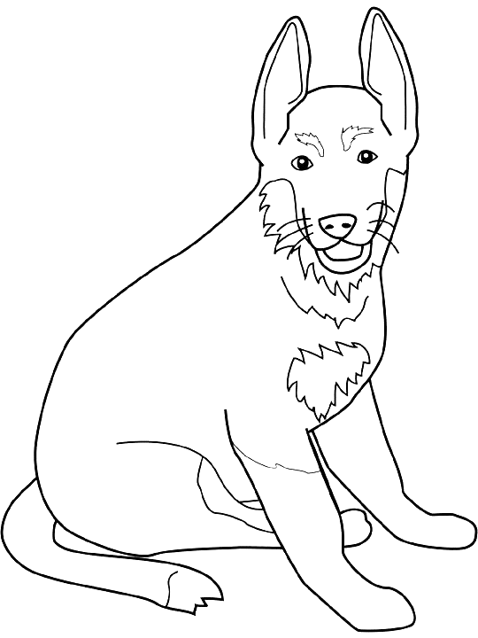 Coloriage Dessin Chien Berger Allemand - Chien à imprimer