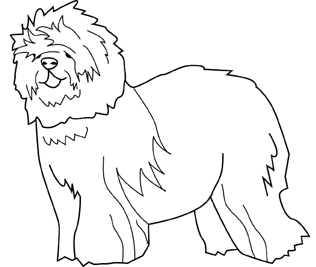 Coloriage Dessin Chien Berger - Chien à imprimer