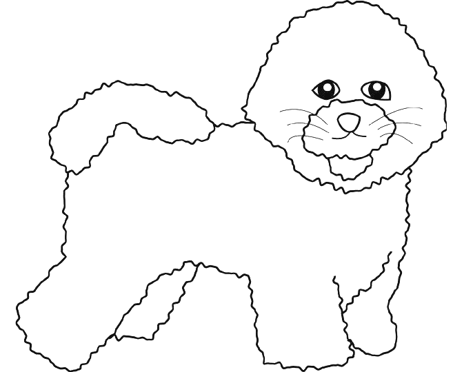 Coloriage Dessin Chien Bichon Frise - Chien à imprimer