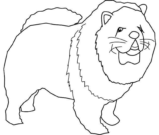 Coloriage Dessin Chien Chow Chow - Chien à imprimer