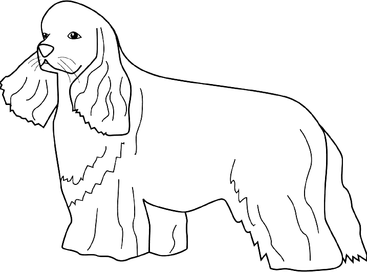 Coloriage Dessin Chien Cocker - Chien à imprimer