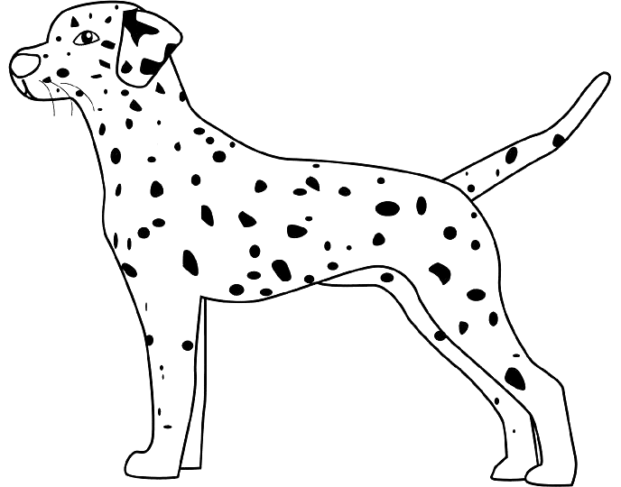 Coloriage Dessin Chien Dalmatien - Chien à imprimer