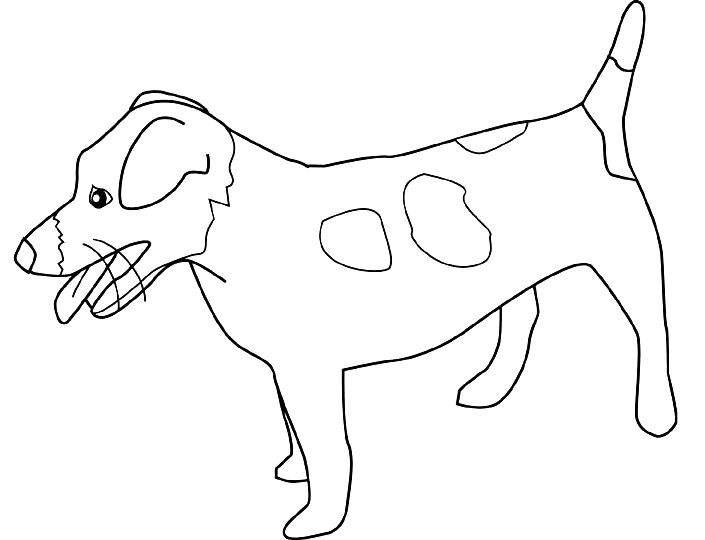 Coloriage Dessin Chien Jack Russell Terrier - Chien à imprimer
