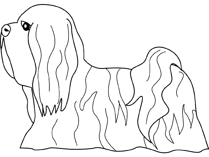 Coloriage Dessin Chien Lhasa Apso - Chien à imprimer
