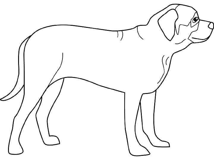Coloriage Dessin Chien Mastiff - Chien à imprimer