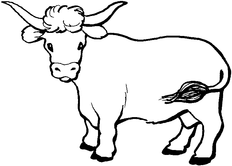 Coloriage Dessin D'Un Boeuf - Animaux à imprimer