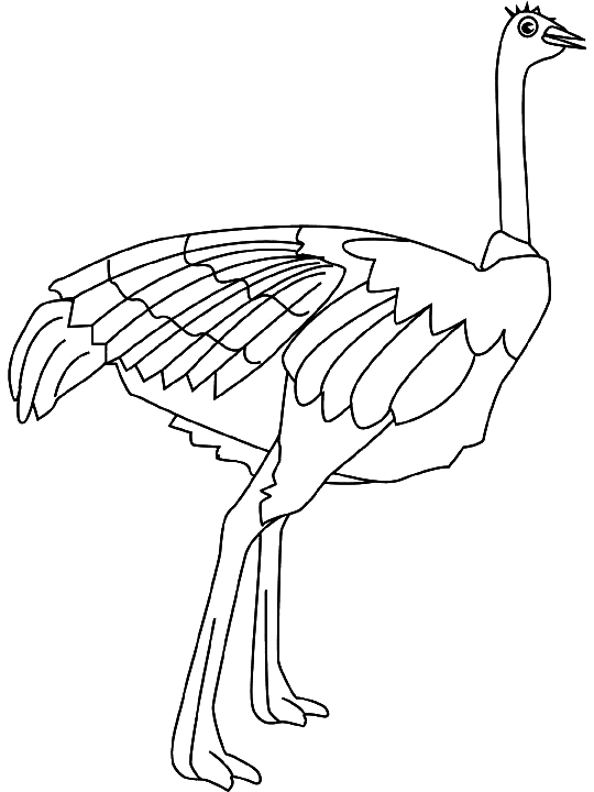 Coloriage Dessin D'Une Autruche - Animaux à imprimer