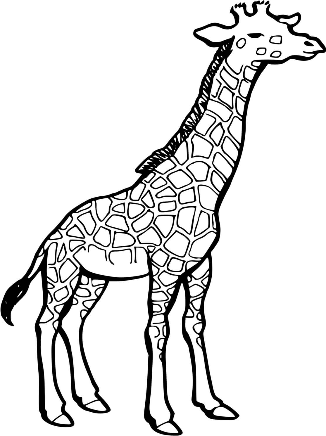 Coloriage Dessin D'Une Girafe - Girafe à imprimer