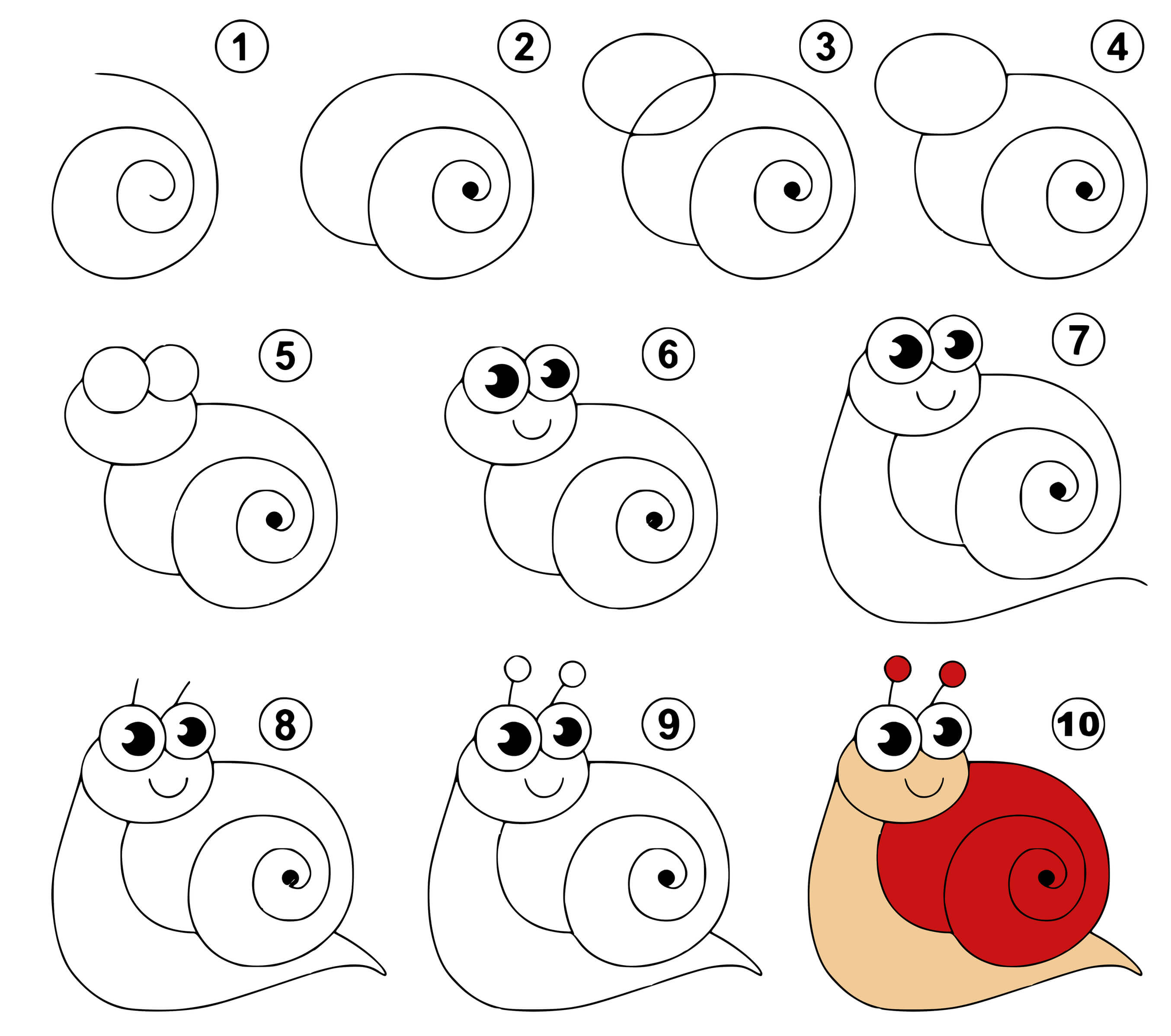 Coloriage Dessin Facile Un Escargot Snail Animal - Dessin facile à imprimer