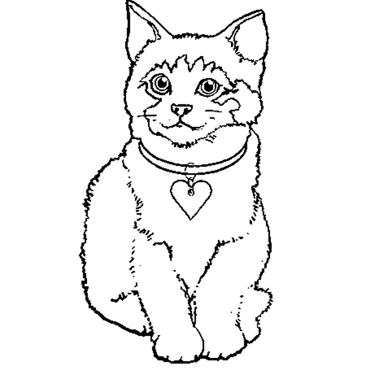 Coloriage Dessin Petit Chaton - Dessin à imprimer