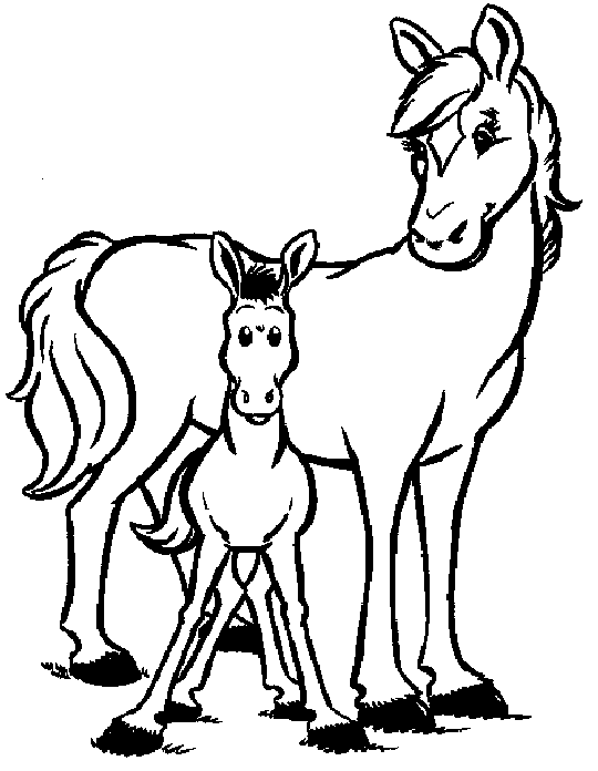 Coloriage Deux Chevaux - Cheval à imprimer