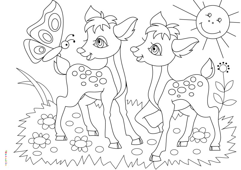 Coloriage Deux Faons Dans La Nature Avec Papillon - Cerf biche faon à imprimer