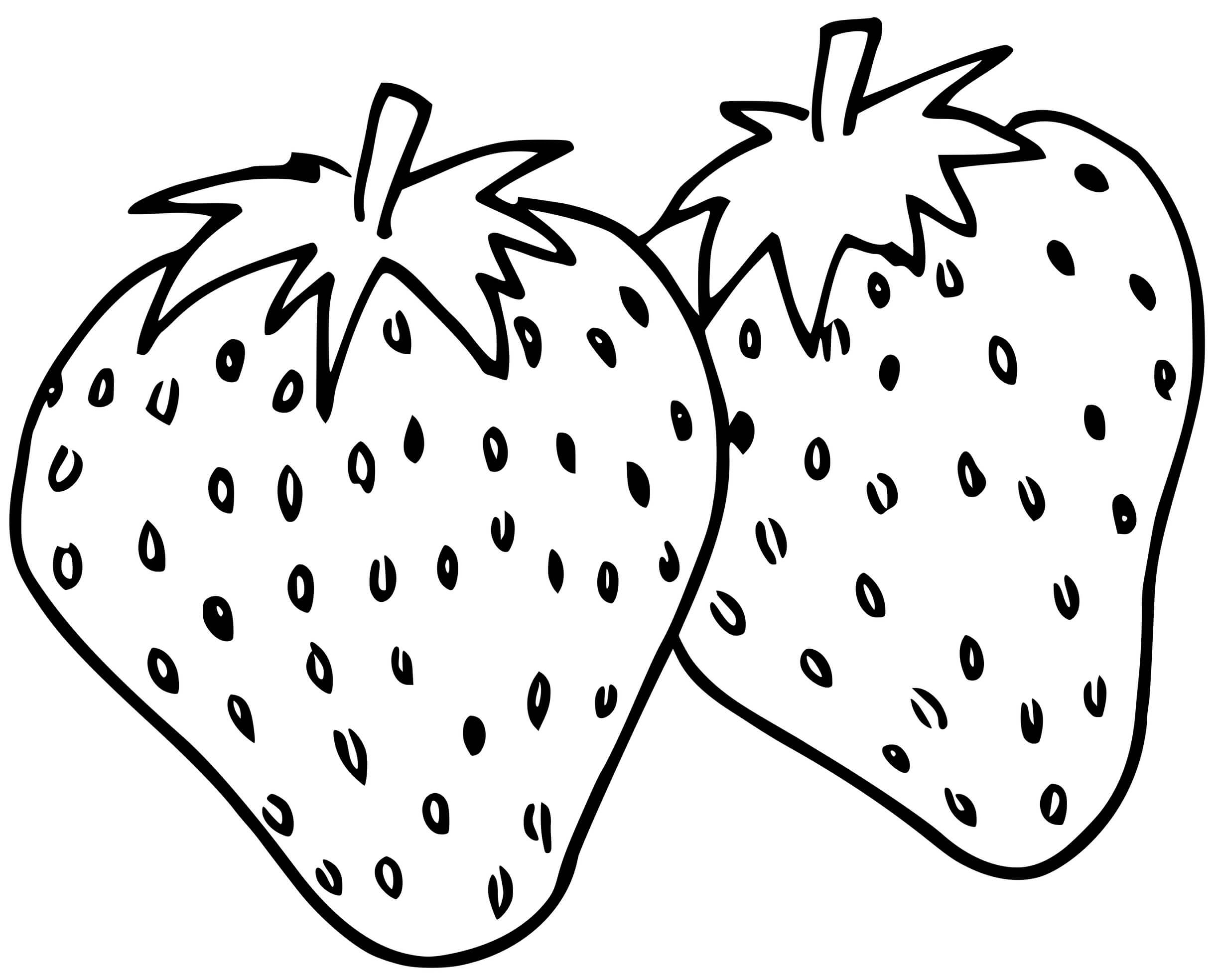 Coloriage Deux Fruits Fraises Fragaria - Fraise à imprimer