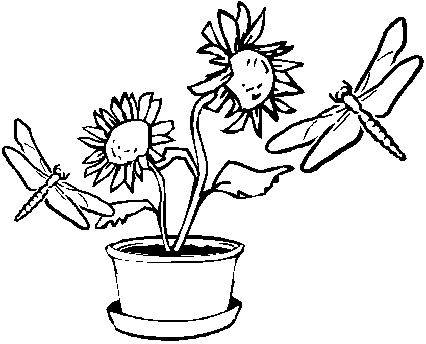Coloriage Deux Libellules Volent Autour D'Un Pot De Fleur - Libellule à imprimer