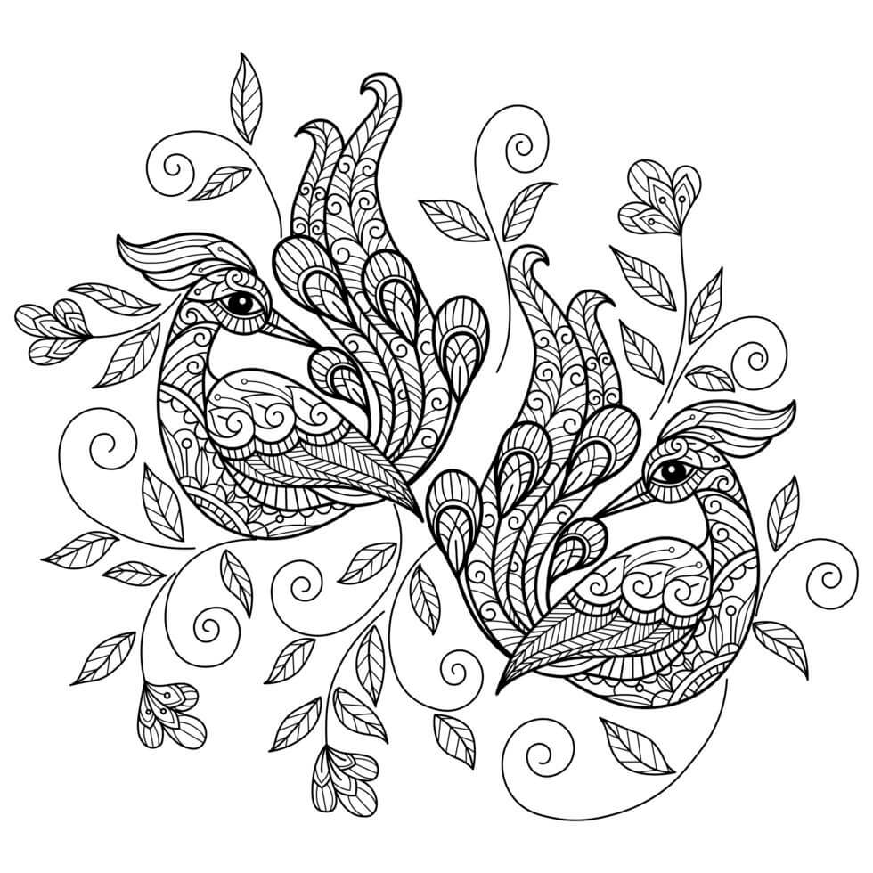 Coloriage Paon