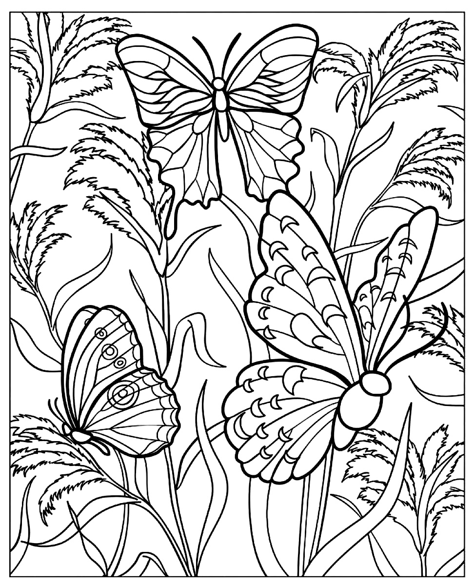 Coloriage Difficile Papillons - Papillon à imprimer