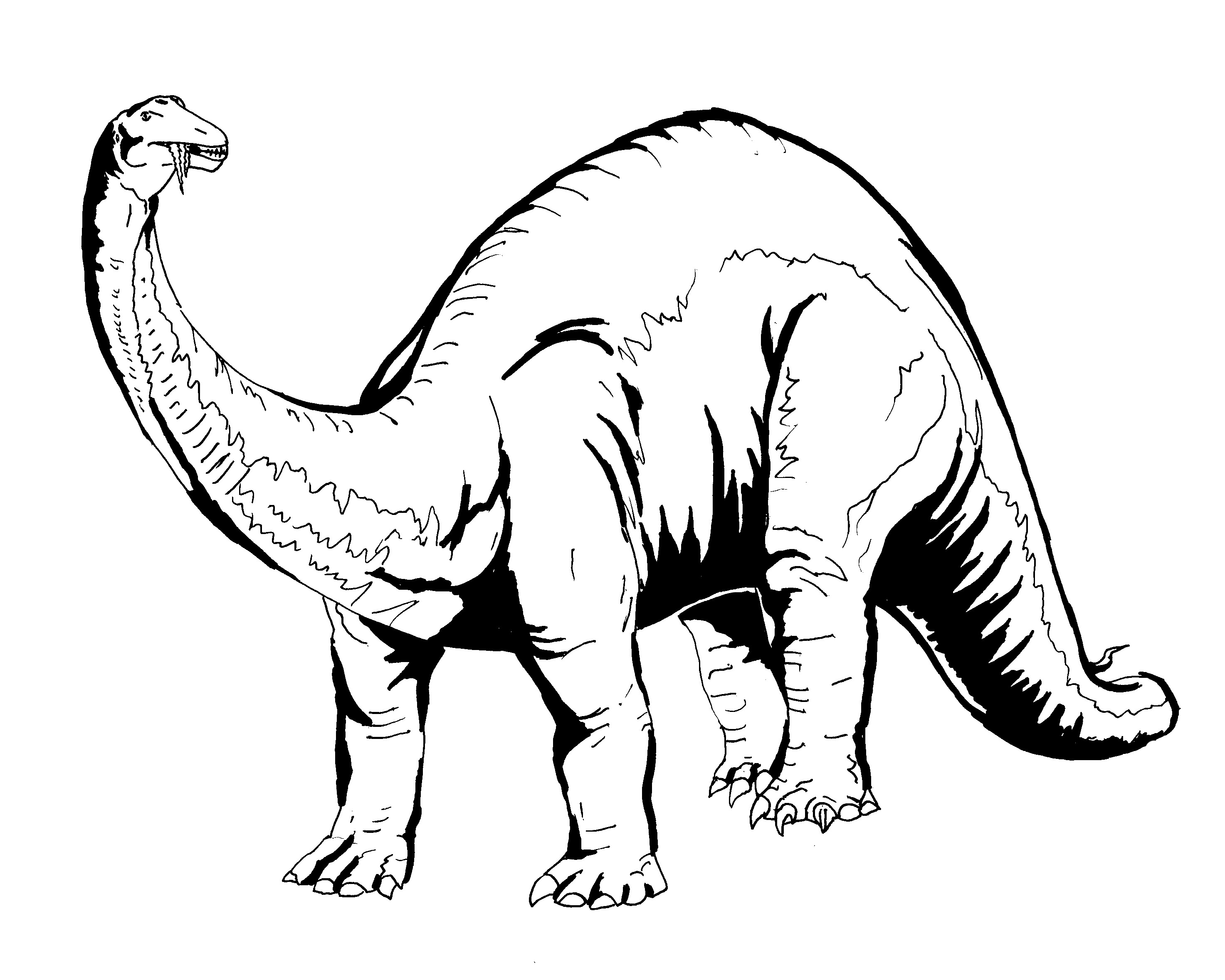 Coloriage Tricératops puissant avec sa triple corne - Dinosaure à imprimer