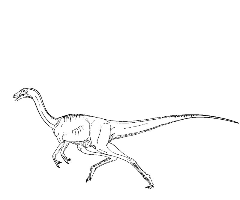 Coloriage Saurien majestueux de Jurassic Park - Jurassic world park à imprimer