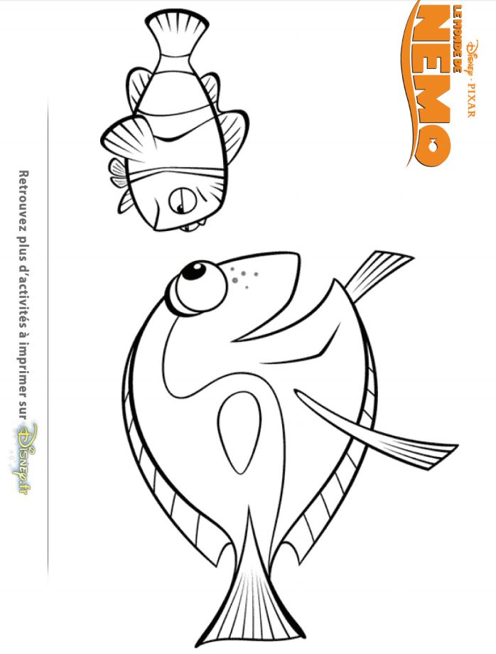Coloriage Dory Et Nemo - Le Monde de Dory à imprimer