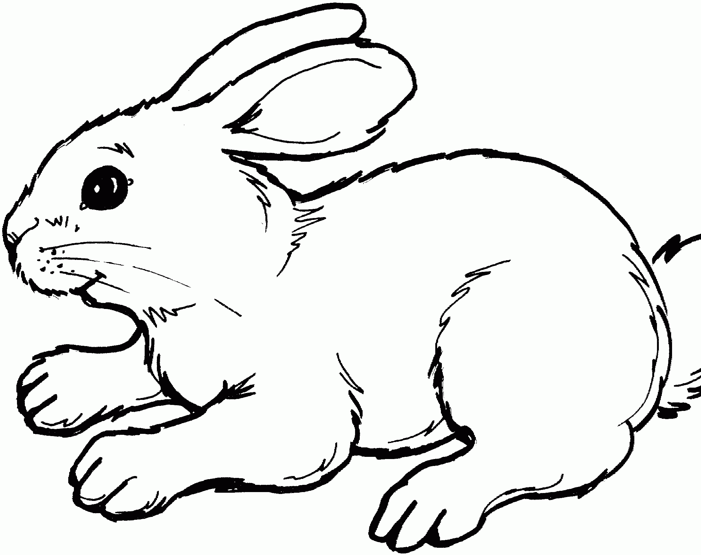 Coloriage Easter Bunny Real - Lapin à imprimer