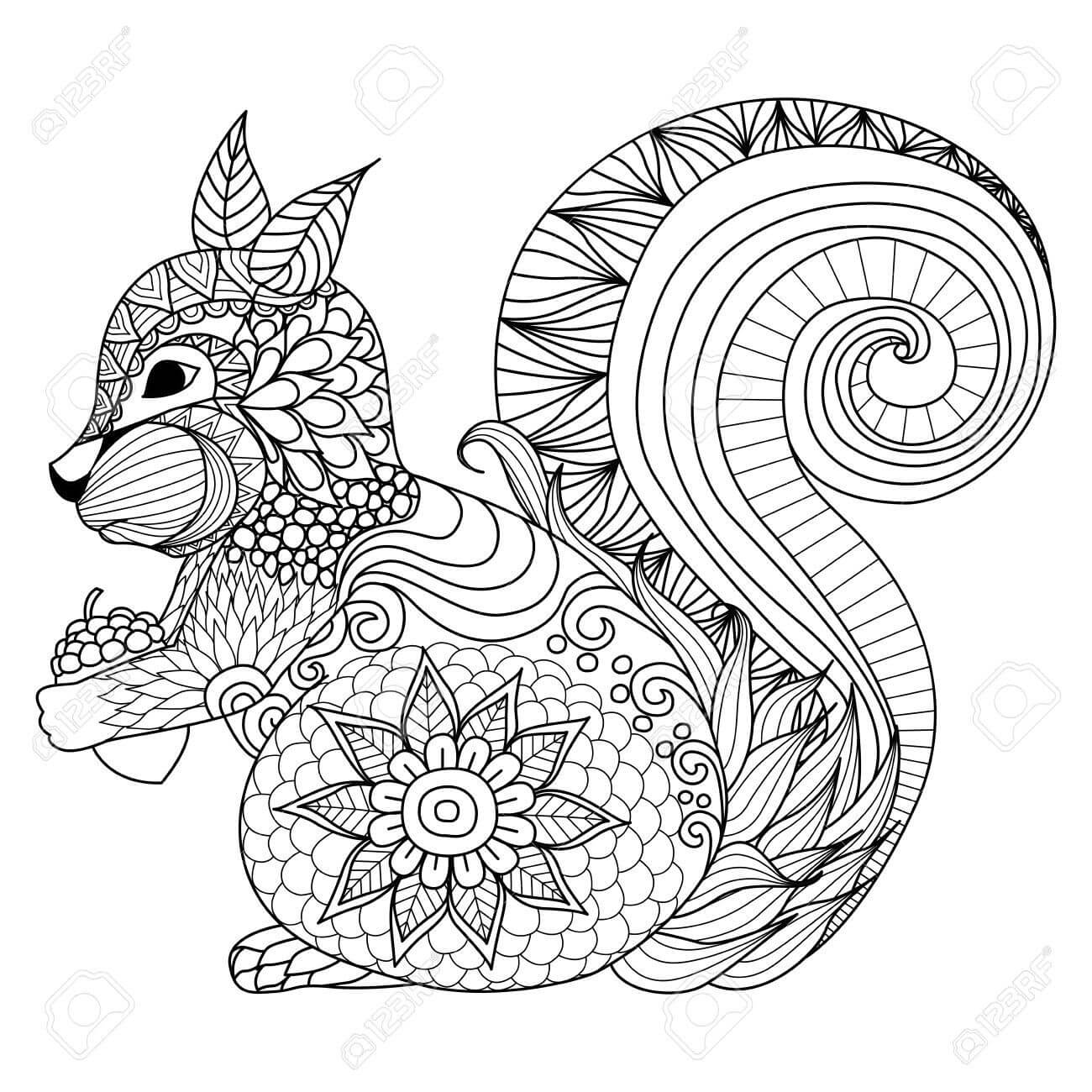 Coloriage Écureuil Adulte Mandala - Écureuil à imprimer