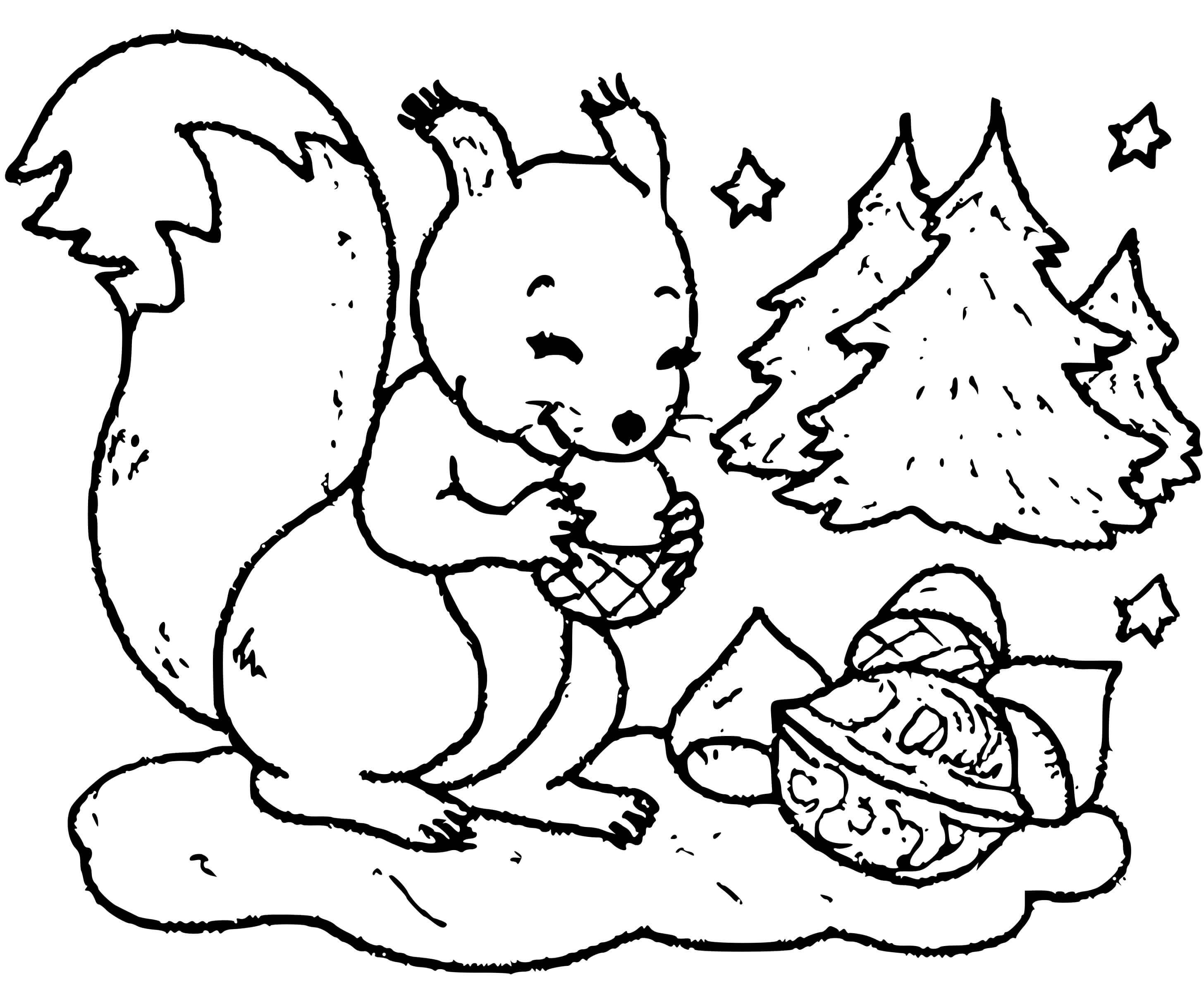 Coloriage Écureuil Hiver Noix Sapin - Écureuil à imprimer