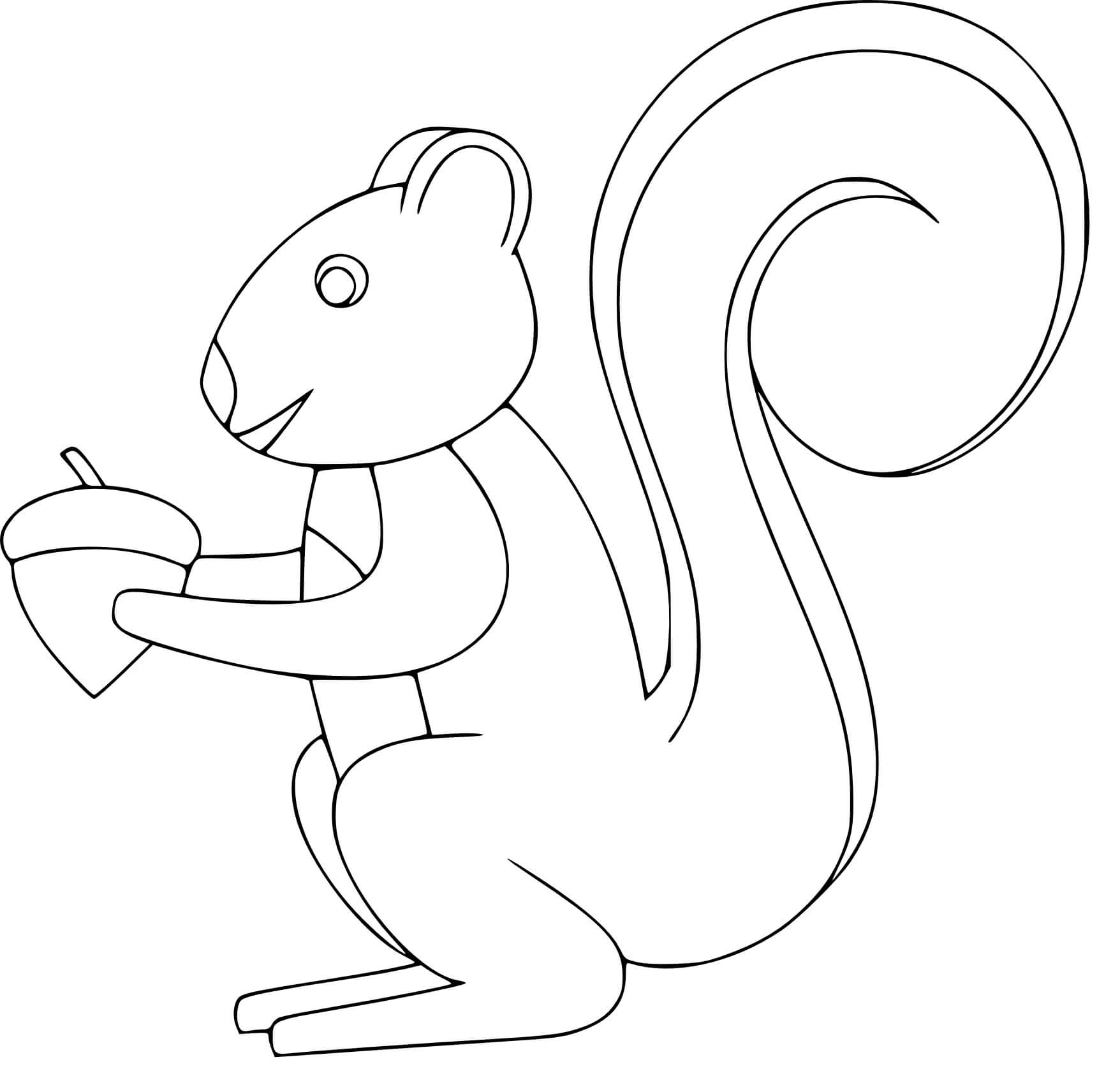 Coloriage Écureuil Roux Américain - Écureuil à imprimer