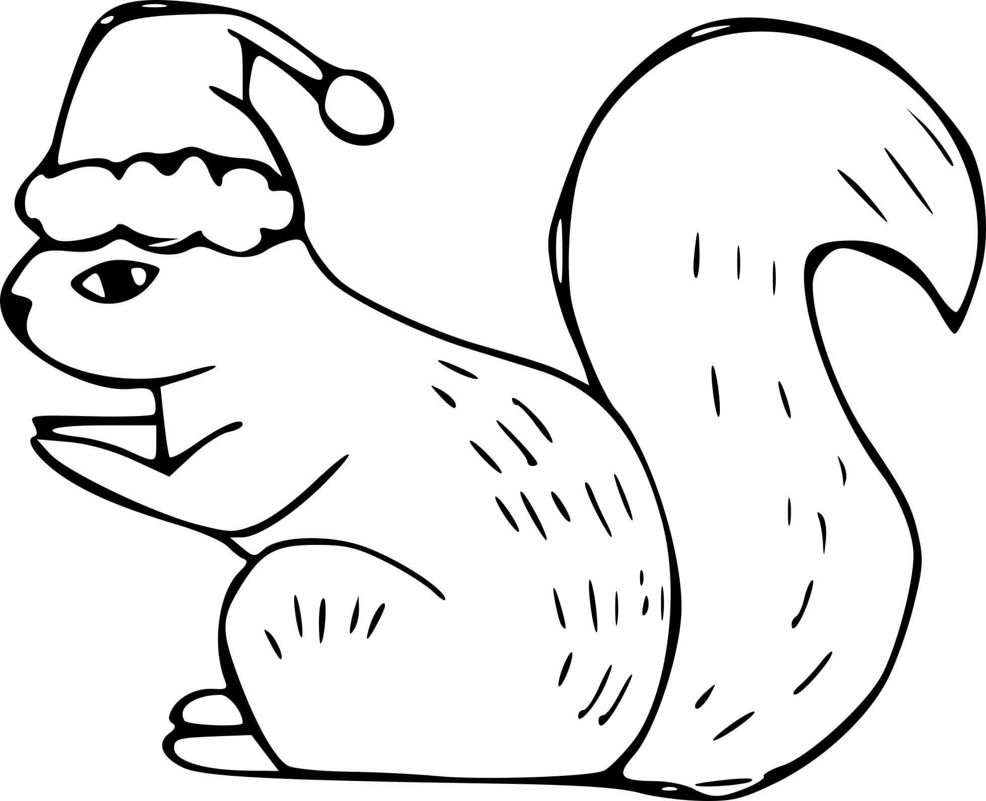 Coloriage Écureuil Roux Eurasie - Écureuil à imprimer