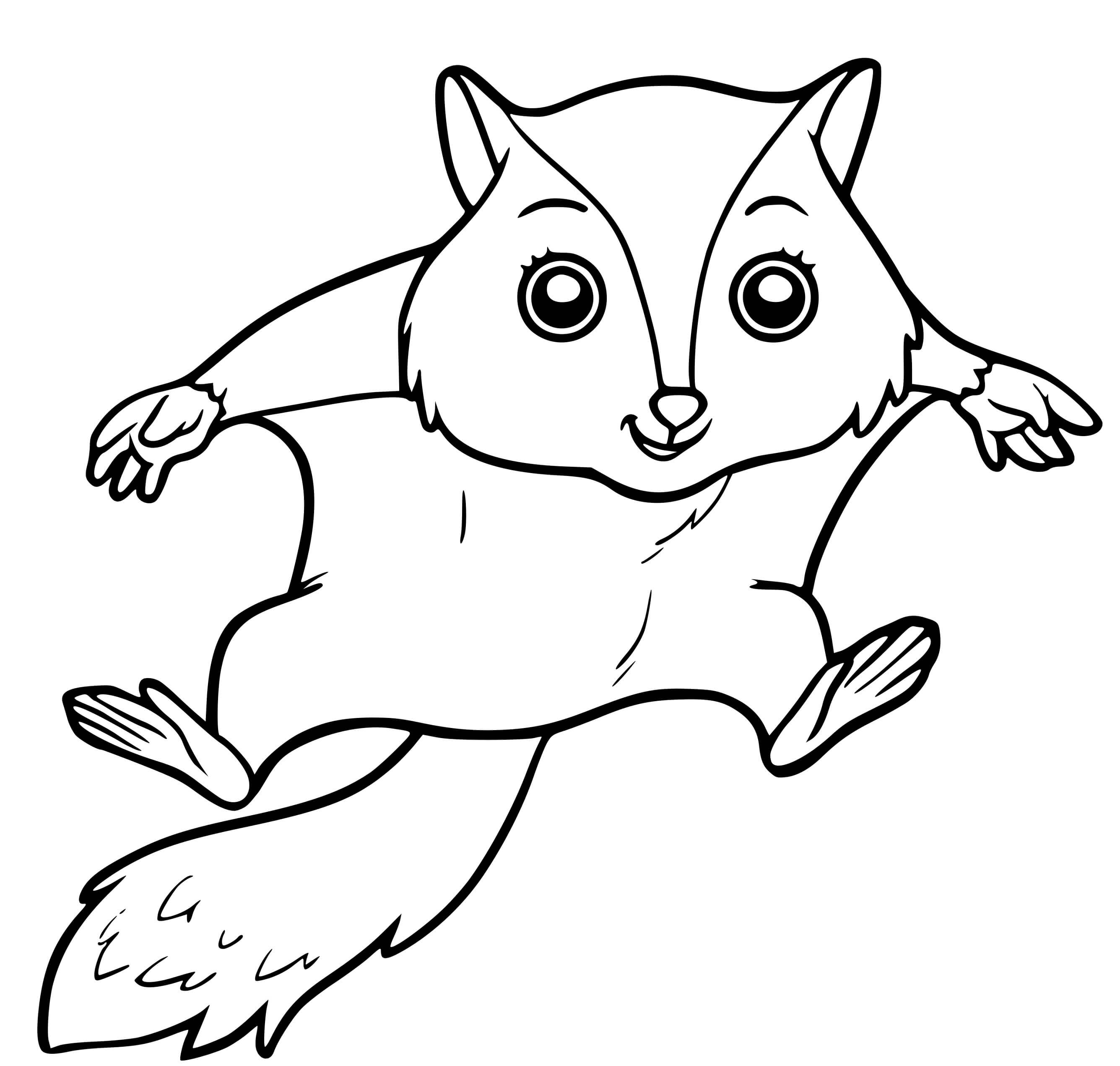 Coloriage Écureuil Volant Planeur - Écureuil à imprimer