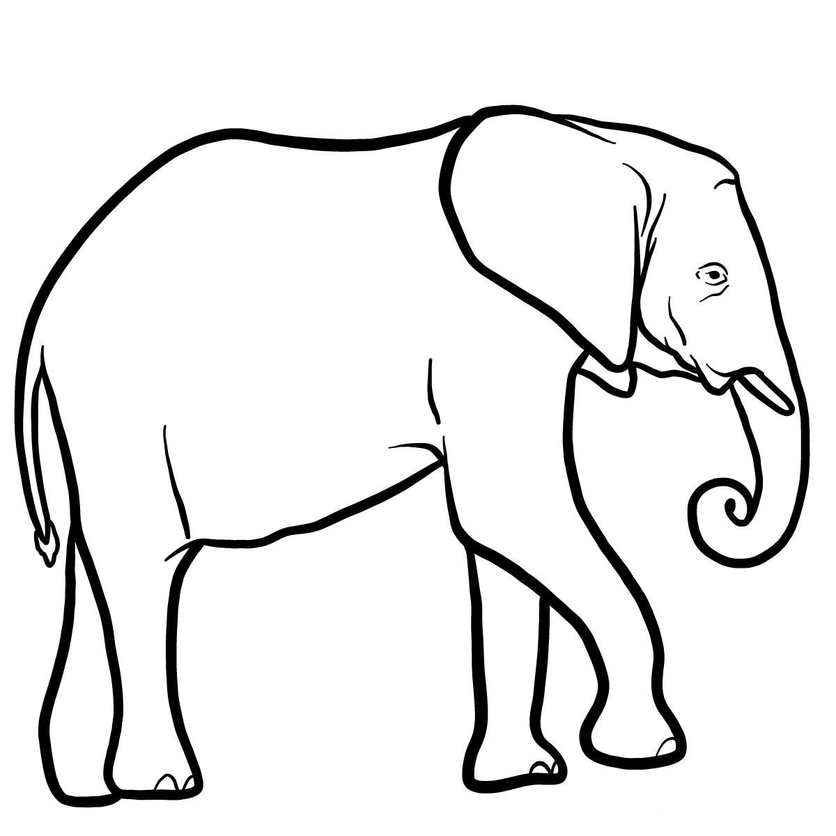 Coloriage Éléphant Afrique Australe - Animaux sauvages à imprimer