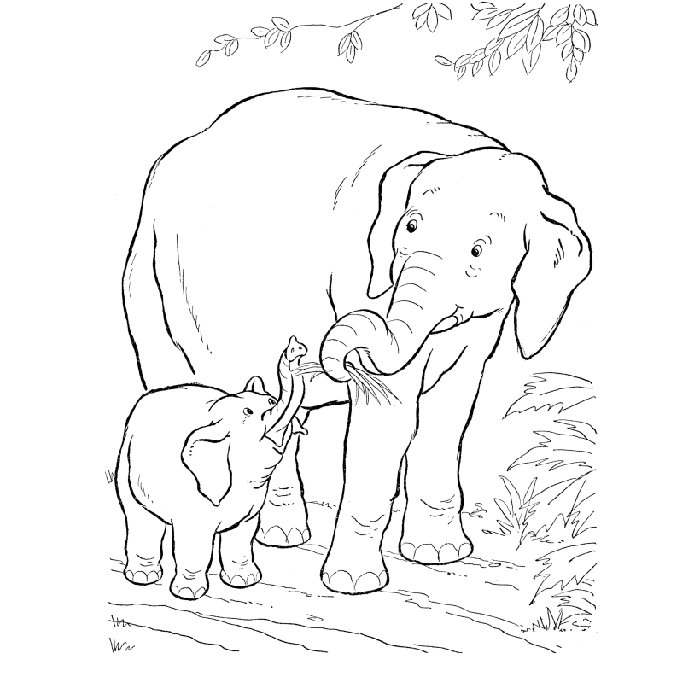 Coloriage Éléphant Savane - Animaux à imprimer