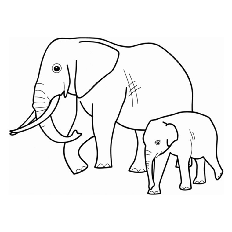 Coloriage Éléphants - Animaux à imprimer