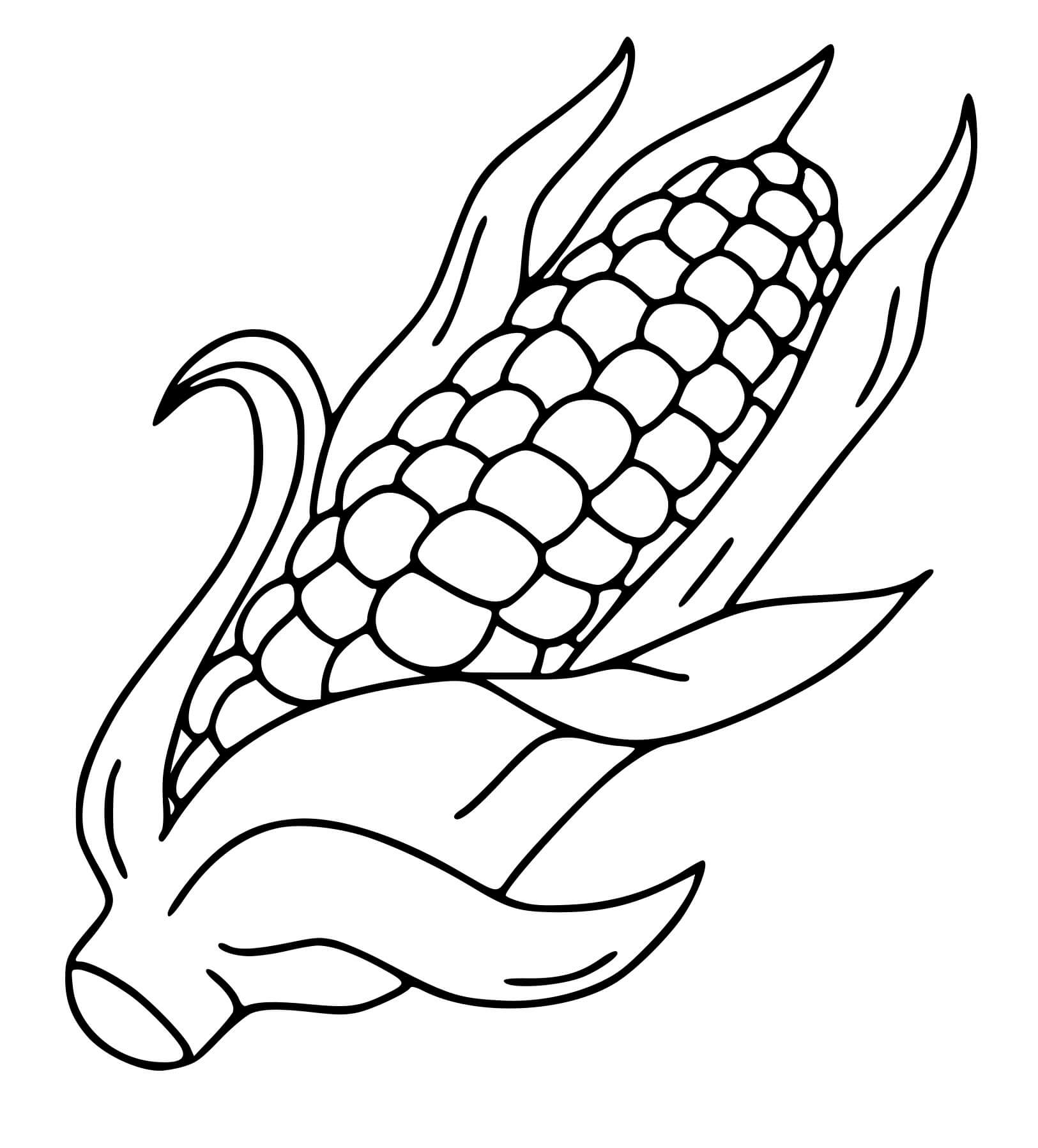 Coloriage Epi De Mais - Maternelle à imprimer